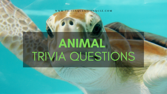 30 Animal Trivia Questions MCQ Quiz for Knowledge and Skills