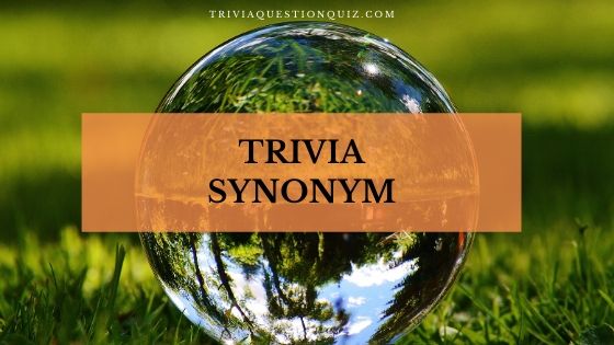 trivia synonym