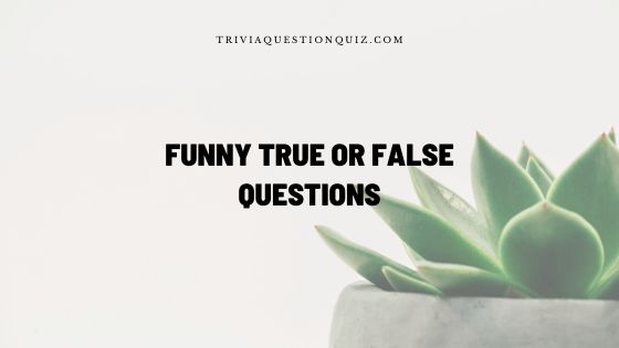 100 Funny True or False Questions You Didn’t Know