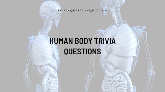 human body trivia questions