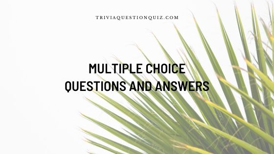 Multiple Choice Questions and Answers