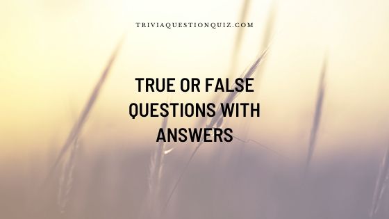 true or false questions with answers