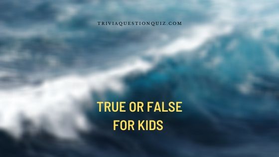 100 True Or False For Kids Who Love To Win The Race Trivia Qq