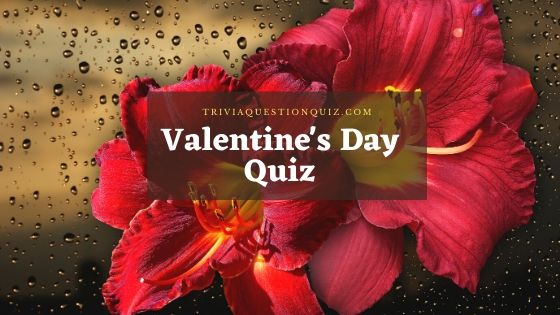 valentines day quiz