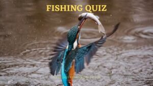 105 Fishing Quiz to Improve General Knowledge - Trivia QQ