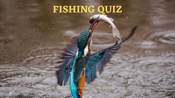 fishing quiz