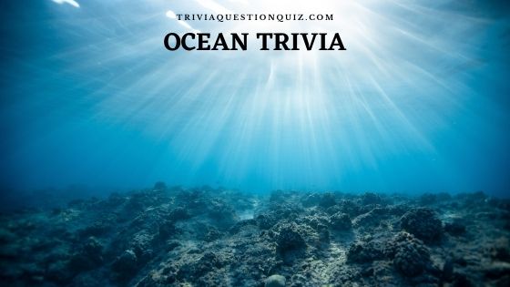 50 Multiple Choice Ocean Trivia Questions Answers