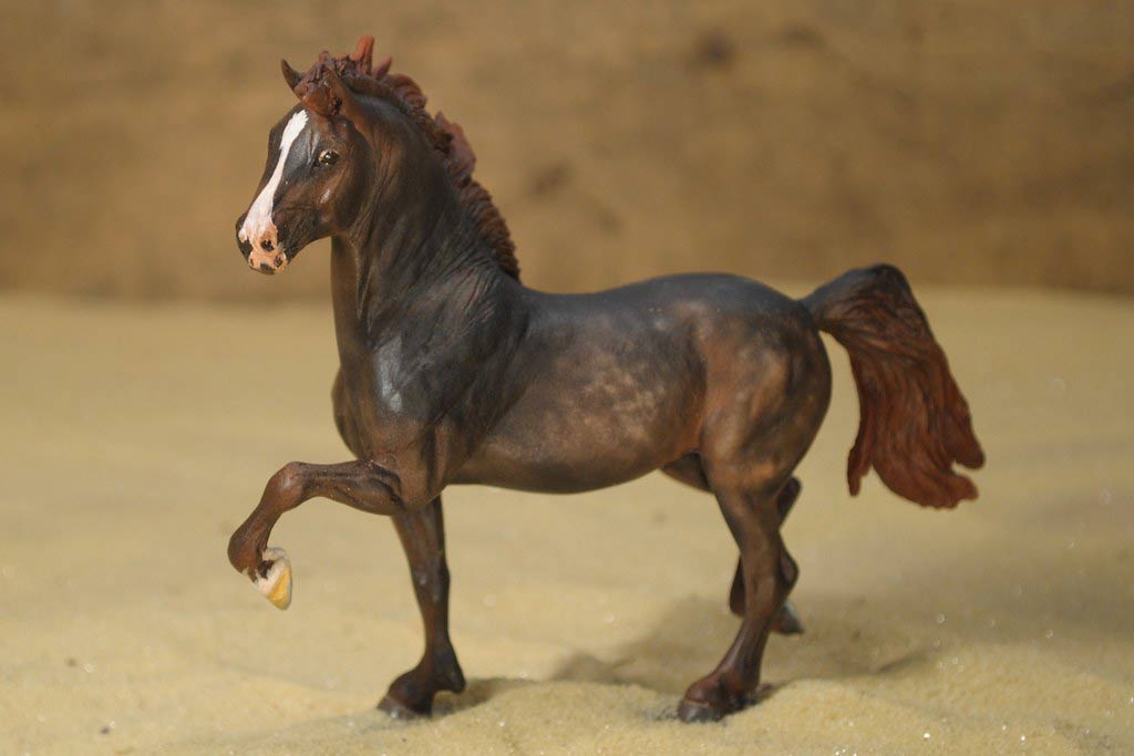 60 Horse Trivia Questions Answers Printable Online English Quiz 
